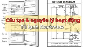 Cấu tạo tủ lạnh Electrolux: 1 2 3 4 cánh, Chi tiết các bộ phận